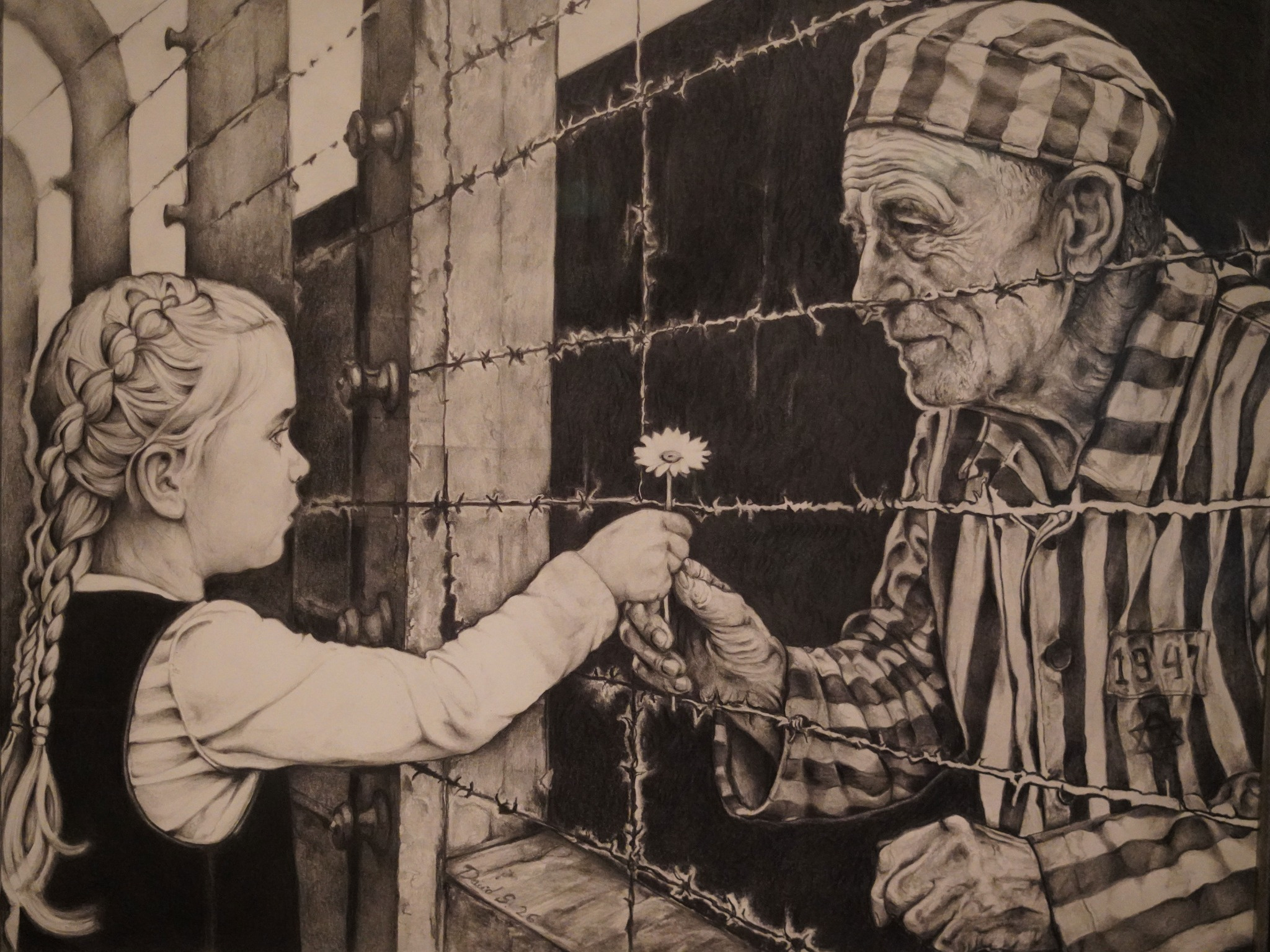 Shake Off The Demon, graphite drawing by David Schure depicting a child offering a flower to a Jewish prisoner across barbed wire